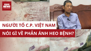 Người tố C.P. Việt Nam trà trộn heo bệnh tiết lộ thông tin mới gây sốc