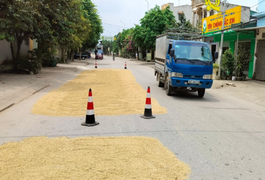 Nam Định yêu cầu truy tố người đốt rơm rạ, phơi thóc trên đường gây tai nạn