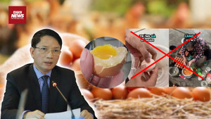 Câu view trứng giả: Hành vi thất đức đang bóp nghẹt sinh kế của nông dân