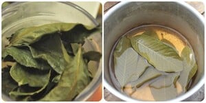 Uống trà lá ổi khô có tác dụng gì?