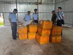 Phát hiện hơn 1 tấn trứng gà non không nguồn gốc tại Quảng Ninh