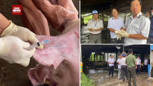 Kiểm tra lò mổ C.P. Việt Nam ở Sóc Trăng: Thông tin mới chấn động