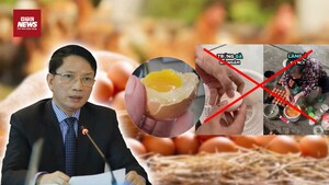 Câu view ‘trứng gà giả': Sinh kế của người chăn nuôi gia cầm bị bóp nghẹt