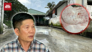 Chuyên gia khẳng định ‘không thể có chuyện đóng dấu xong heo mới phát bệnh'