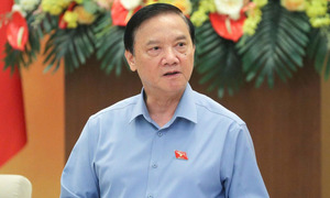 Phó Chủ tịch Quốc hội: Cần cấm ĐBQH chuyên trách làm chủ tịch hội nọ, hội kia