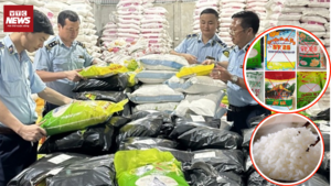 Bóc trần thủ đoạn làm giả gạo ST25: Khi lòng tham biến gạo thành độc phẩm