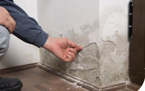 Cách xử lý tường bị ẩm mốc, bong tróc