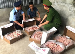 Thu giữ 1 tấn chân gà đông lạnh không rõ nguồn gốc ở Huế