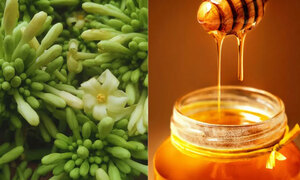 Nên uống mật ong ngâm hoa đu đủ đực vào thời điểm nào?
