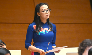 ĐBQH lo các trường tận thu để bù vào khoản tiền miễn học phí