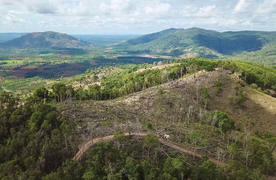Làm gì còn nhiều rừng mà gọi là 'Đại ngàn Tây Nguyên'