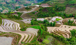 Ngỡ ngàng trước vẻ đẹp mùa nước đổ trên ruộng bậc thang ở Lào Cai