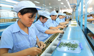 Đi làm bao lâu thì được nghỉ phép?