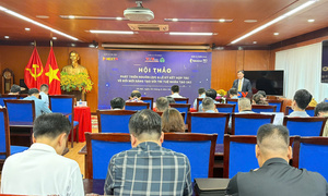 Article 6
