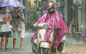 Dự báo thời tiết 10 ngày: Hà Nội và các tỉnh thành miền Bắc tiếp tục mưa dông