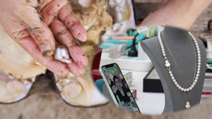 Bí ẩn nơi tạo ra 70% ngọc trai trên thế giới, một con trai chứa đến 60 viên