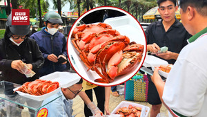 Cua luộc vỉa hè TP.HCM gây sốt, người dân tranh nhau từng con