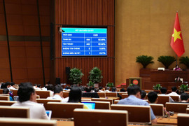 Quốc hội thống nhất miễn thuế đất nông nghiệp thêm 5 năm