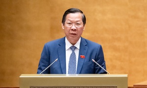 Article 5