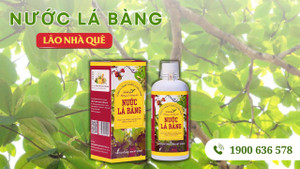 Nước Lá Bàng Lão Nhà Quê - giải pháp hỗ trợ ngừa vi khuẩn từ dược liệu dân dã