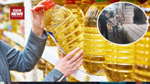 Triệt phá đường dây làm dầu thực vật giả, thu giữ hơn 1.000 tấn