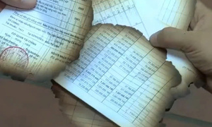 Article 1
