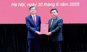 Article 3