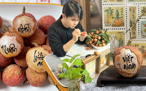 Viết thư pháp trên quả vải thiều, chàng trai gen Z Hà Nội gây sốt mạng