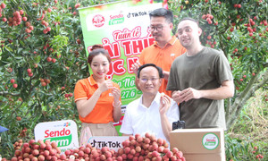 Lần đầu livestream, bán ngay 54 tấn vải thiều: Phó Chủ tịch Bắc Ninh nói gì?