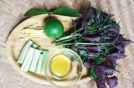 Hai bài thuốc từ lá tía tô nấu với gừng không phải ai cũng biết