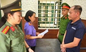 Article 8