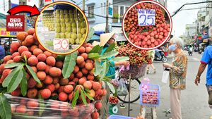 Trái cây ế ẩm, hệ luỵ từ cơn 'nghẽn mạch' xuất khẩu sang Trung Quốc
