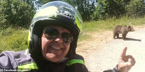 Chụp ảnh selfie với gấu con, du khách bị gấu mẹ tấn công đến chết 