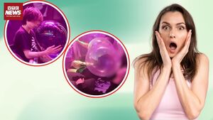 Ngộ độc bóng cười: Cuộc vui ngắn ngủi, hậu quả khôn lường