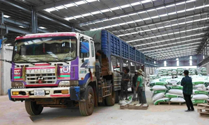 Doanh nghiệp xuất khẩu lúng túng sau thay đổi đơn vị hành chính