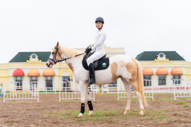 Sắp diễn ra giải cưỡi ngựa chuyên nghiệp - Vinpearl Equestrian Cup 2025