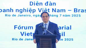 Thủ tướng: Doanh nghiệp Việt Nam - Brazil đẩy mạnh kết nối, hợp tác, đầu tư