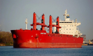 Houthi thừa nhận đánh chìm tàu hàng ở Biển Đỏ