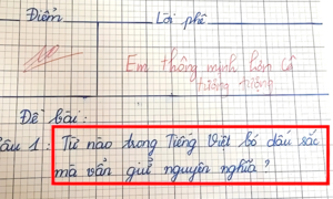 Từ nào trong Tiếng Việt bỏ dấu sắc vẫn giữ nguyên nghĩa?