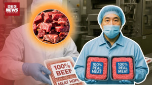 Rùng rợn thịt bò giả ở Nhật Bản: Bê bối chấn động khi bị phanh phui
