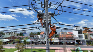 Tập đoàn Điện lực Việt Nam hoàn thành sắp xếp, tinh gọn bộ máy