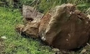 Theo người lớn đi chăn bò, 2 cháu bé bị đá đè ở Đắk Lắk