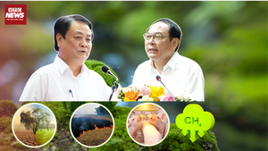 Phó Chủ tịch Quốc hội Lê Minh Hoan: Có lấy môi trường đánh đổi sự phát triển?