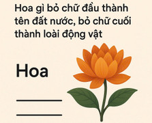 Hoa gì bỏ chữ đầu thành tên đất nước, bỏ chữ cuối thành tên loài động vật?