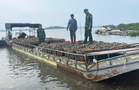 Người đàn ông dùng bè mảng chở lậu 4 tấn hàu từ Trung Quốc về Quảng Ninh