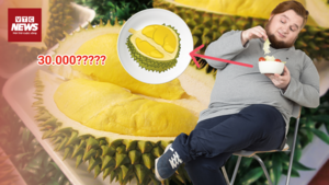 Bóc trần sầu riêng giá rẻ 30.000 đồng/kg ở Hà Nội