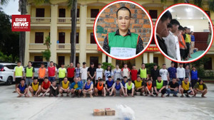 Triệt phá đường dây lừa đảo xuyên quốc gia: 74 kẻ sa lưới ở Tam Giác Vàng