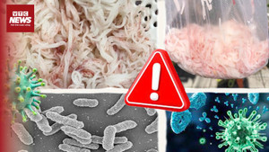 Bún chuyển màu đỏ ở Đà Nẵng: Vi sinh vật là 'thủ phạm'