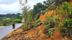 Rùng mình đi dưới những quả đồi chực chờ sạt lở ở Đà Lạt