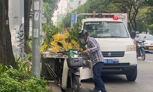 Nghiên cứu lắp camera xử phạt vi phạm lấn chiếm vỉa hè, lòng đường ở TP.HCM